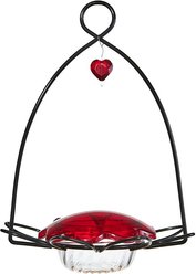 Birds Choice Hummingbird for Nectar Bird Feeder, Small