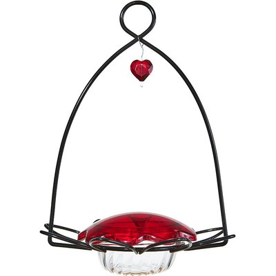 Birds Choice Birds Choice Hummingbird for Nectar Bird Feeder, Small