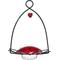 Show in main carousel: Birds Choice Hummingbird for Nectar Bird Feeder, Small slide 1 of 9