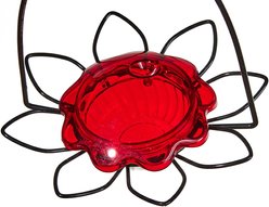 Birds Choice Hummingbird for Nectar Bird Feeder, Small slide 2 of 8