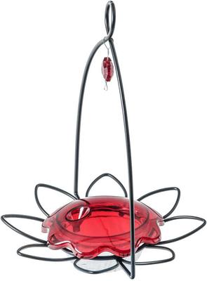 Show full view: Birds Choice Hummingbird for Nectar Bird Feeder, Small slide 4 of 9