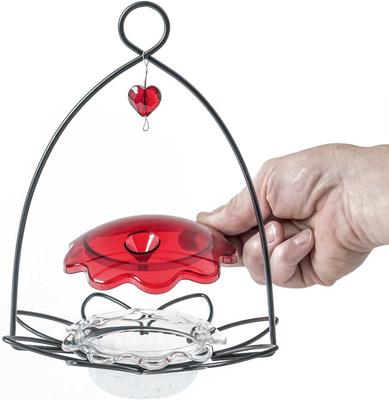 Show full view: Birds Choice Hummingbird for Nectar Bird Feeder, Small slide 5 of 9