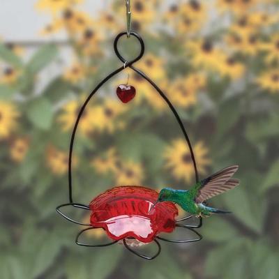Show full view: Birds Choice Hummingbird for Nectar Bird Feeder, Small slide 8 of 9