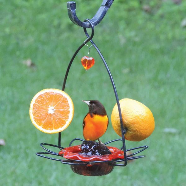 Birds Choice Oriole Flower Feeder, Orange, 3-oz