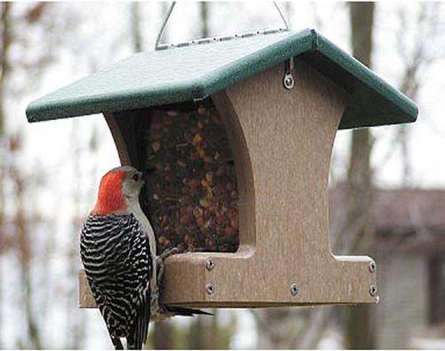Show full view: Birds Choice Recycled Plastic Hanging Hopper 2-Sided Bird Feeder, Taupe/Green, Small, 8.75-in slide 8 of 11