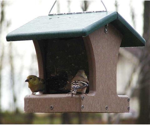 Show full view: Birds Choice Recycled Plastic Hanging Hopper 2-Sided Bird Feeder, Taupe/Green, Small, 8.75-in slide 9 of 11