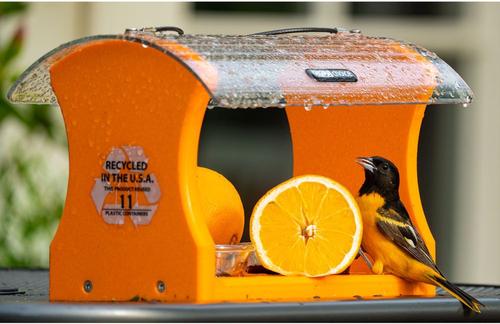 Show full view: Birds Choice Nectar & Jelly Oriole Bird Feeder, Orange, 2 cups slide 5 of 8