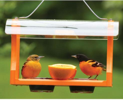 Show full view: Birds Choice Nectar & Jelly Oriole Bird Feeder, Orange, 2 cups slide 7 of 8