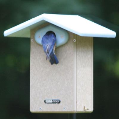 Show full view: Birds Choice Ultimate Bluebird House, Taupe & Blue, Medium slide 9 of 10