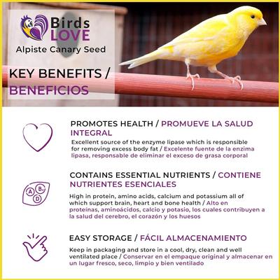 Show full view: Birds LOVE Alpiste Canary Seed Non-GMO Double Cleaned Bird Food, 5-lb bag slide 4 of 7