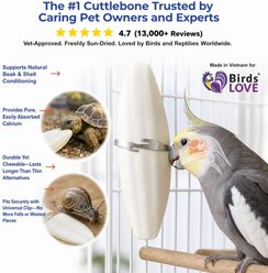 Birds LOVE Cuttlebone Calcium Block Supplement for Birds, Tortoise & Snails, 3.5 to 4-in, 2 count slide 2 of 9