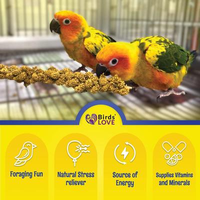 Show full view: Birds LOVE Economy Millet Sun Dried Bird Food, 7-oz bag slide 4 of 11