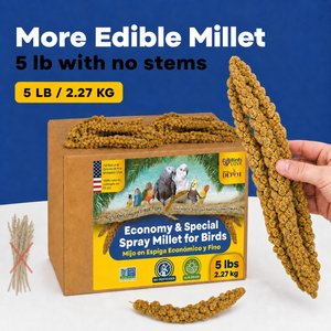 Birds LOVE Economy & Thin Special Spray Millet Bird Treats, 5-lb box