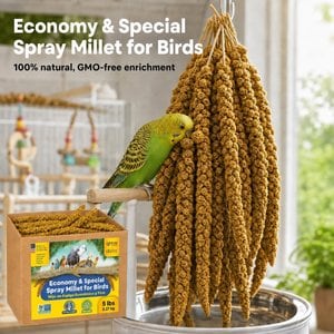 Birds LOVE Economy & Thin Special Spray Millet Bird Treats, 5-lb box