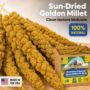 Birds LOVE Economy & Thin Special Spray Millet Bird Treats, 5-lb box