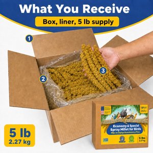 Birds LOVE Economy & Thin Special Spray Millet Bird Treats, 5-lb box
