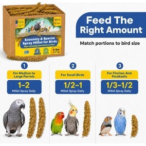 Birds LOVE Economy & Thin Special Spray Millet Bird Treats, 5-lb box