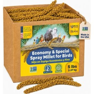 Birds LOVE Economy & Thin Special Spray Millet Bird Treats, 5-lb box