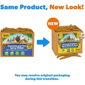 Birds LOVE Economy & Thin Special Spray Millet Bird Treats, 5-lb box