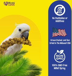 Birds LOVE Economy & Thin Special Spray Millet Bird Treats, 5-lb box slide 2 of 7