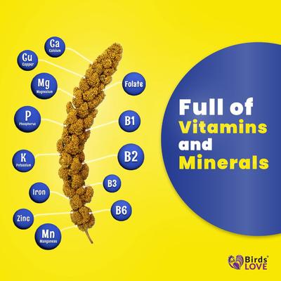 Show full view: Birds LOVE Economy & Thin Special Spray Millet Bird Treats, 5-lb box slide 5 of 8