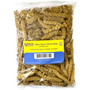 Birds LOVE Economy & Thin Special Tips & Tails Spray Millet Bird Treats, 2.5 to 5-in, 1-lb bag