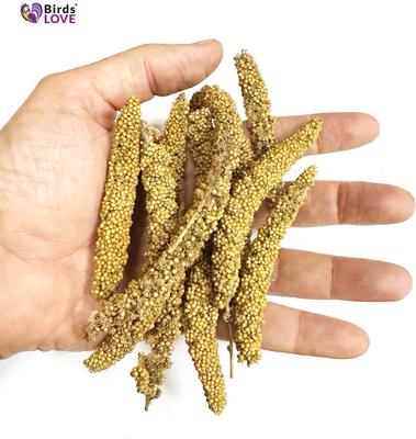 Show full view: Birds LOVE Economy & Thin Special Tips & Tails Spray Millet Bird Treats, 2.5 to 5-in, 1-lb bag slide 3 of 9