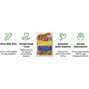 Birds LOVE Economy & Thin Special Tips & Tails Spray Millet Bird Treats, 2.5 to 5-in, 1-lb bag