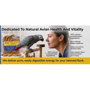 Birds LOVE Economy & Thin Special Tips & Tails Spray Millet Bird Treats, 2.5 to 5-in, 1-lb bag