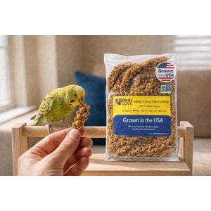Birds LOVE Economy & Thin Special Tips & Tails Spray Millet Bird Treats, 2.5 to 5-in, 1-lb bag