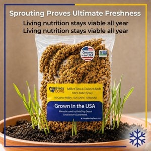 Birds LOVE Economy & Thin Special Tips & Tails Spray Millet Bird Treats, 2.5 to 5-in, 1-lb bag