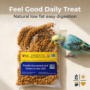 Birds LOVE Economy & Thin Special Tips & Tails Spray Millet Bird Treats, 2.5 to 5-in, 1-lb bag