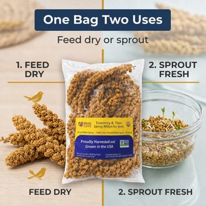 Birds LOVE Economy & Thin Special Tips & Tails Spray Millet Bird Treats, 2.5 to 5-in, 1-lb bag