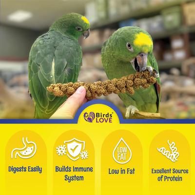 Show full view: Birds LOVE Economy & Thin Special Tips & Tails Spray Millet Bird Treats, 5-oz bag slide 4 of 9