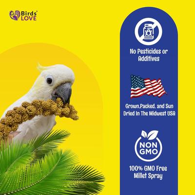 Show full view: Birds LOVE Economy & Thin Special Tips & Tails Spray Millet Bird Treats, 5-oz bag slide 6 of 9