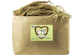 Birds LOVE French Kissed Millet Bird Food, 25-lb box