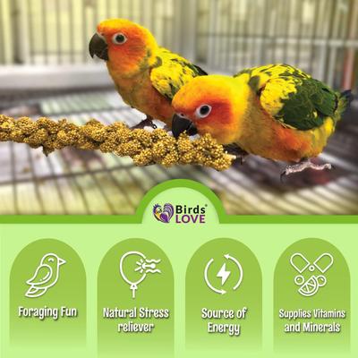 Show full view: Birds LOVE French Kissed Millet Bird Food, 25-lb box slide 5 of 7