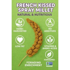 Birds LOVE French Kissed Millet Bird Food, 2-lb box