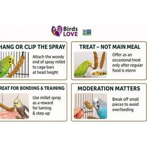 Birds LOVE French Kissed Millet Bird Food, 2-lb box