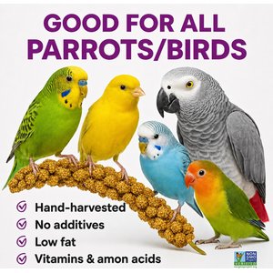 Birds LOVE French Kissed Millet Bird Food, 2-lb box