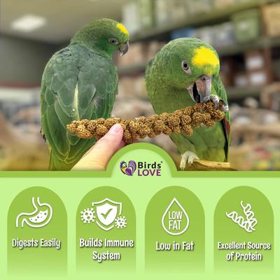 Show full view: Birds LOVE French Kissed Millet Bird Food, 2-lb box slide 6 of 7