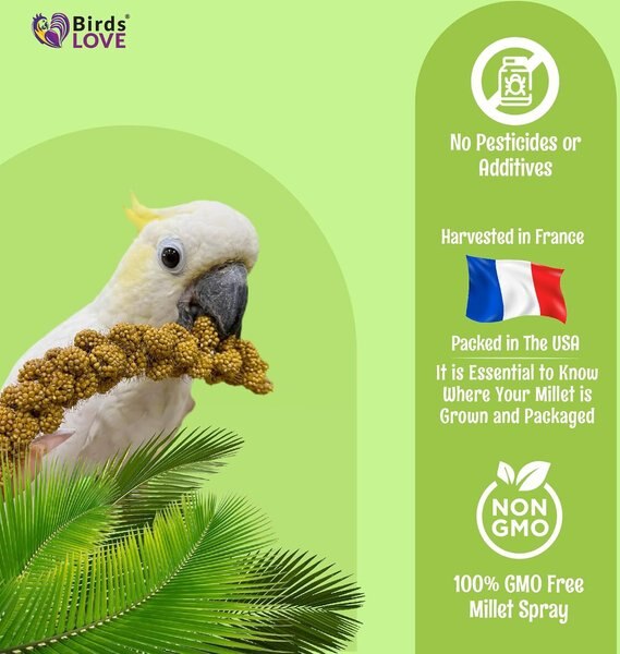 Birds LOVE French Kissed Millet Bird Food