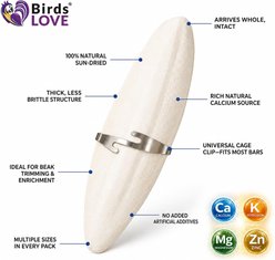 Birds LOVE Natural Cuttlebone Calcium Block Supplement for Birds, Tortoise & Snails, 3.5 to 4-in, 4 count slide 2 of 9