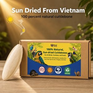 Birds LOVE Natural Cuttlebone Calcium Block Supplement for Birds, Tortoise & Snails, 5.5 to 6-in, 6 count