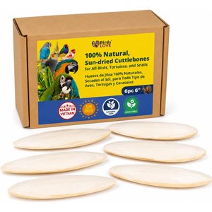Birds LOVE Natural Cuttlebone Calcium Block Supplement for Birds, Tortoise & Snails, 5.5 to 6-in, 6 count