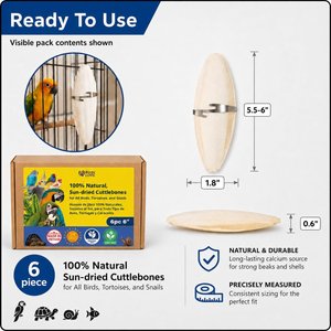 Birds LOVE Natural Cuttlebone Calcium Block Supplement for Birds, Tortoise & Snails, 5.5 to 6-in, 6 count