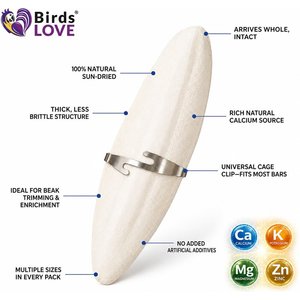 Birds LOVE Natural Cuttlebone Calcium Block Supplement for Birds, Tortoise & Snails, 5.5 to 6-in, 6 count