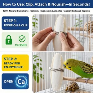 Birds LOVE Natural Cuttlebone Calcium Block Supplement for Birds, Tortoise & Snails, 5.5 to 6-in, 6 count