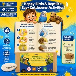 Birds LOVE Natural Cuttlebone Calcium Block Supplement for Birds, Tortoise & Snails, 5.5 to 6-in, 6 count slide 2 of 8