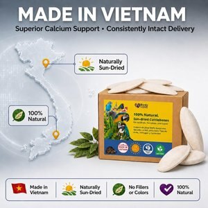 Birds LOVE Natural Cuttlebone Calcium Block Supplement for Birds, Tortoise & Snails, 7.5 to 8-in, 12 count